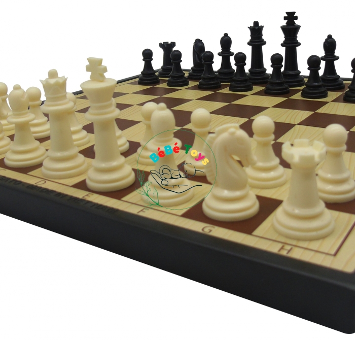 CỜ VUA QUỐC TẾ 2 (SATO 041)