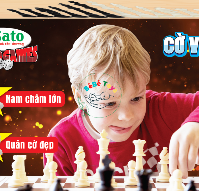 CỜ VUA QUỐC TẾ 2 (SATO 041)